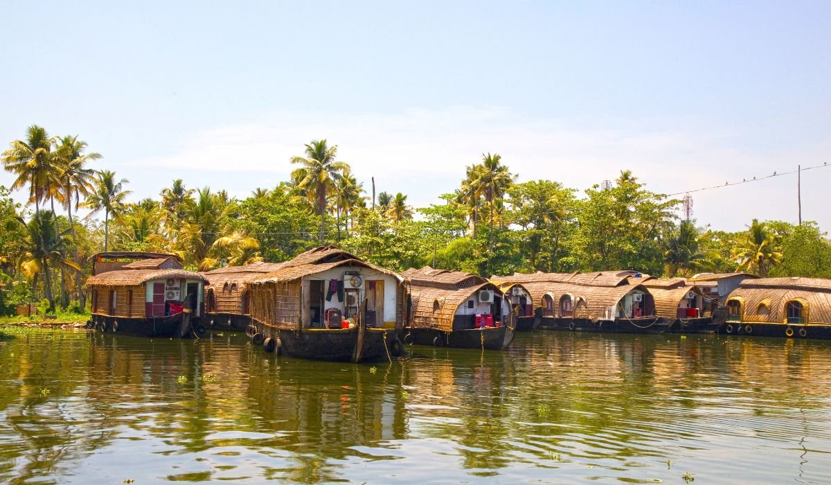 Munnar Alleppey Kerala Tour - Image 2