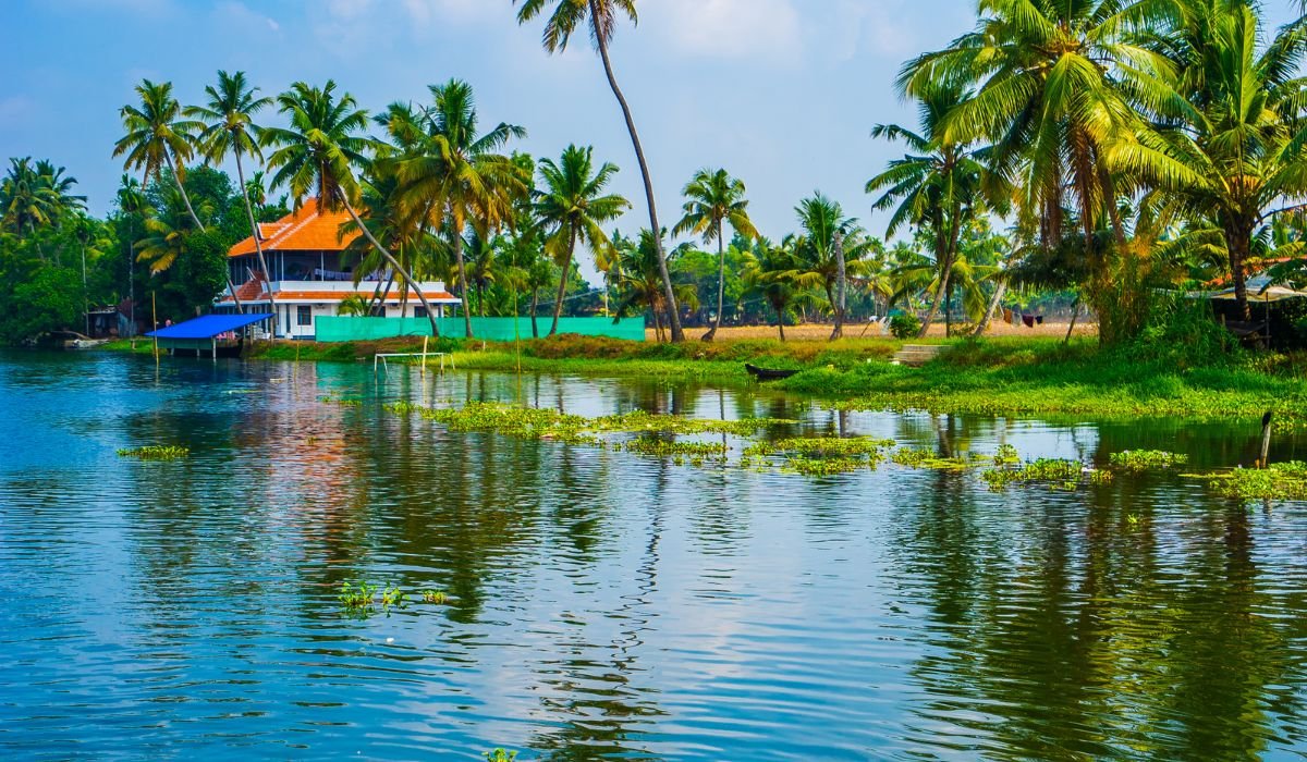 Munnar Alleppey Kerala Tour - Image 6