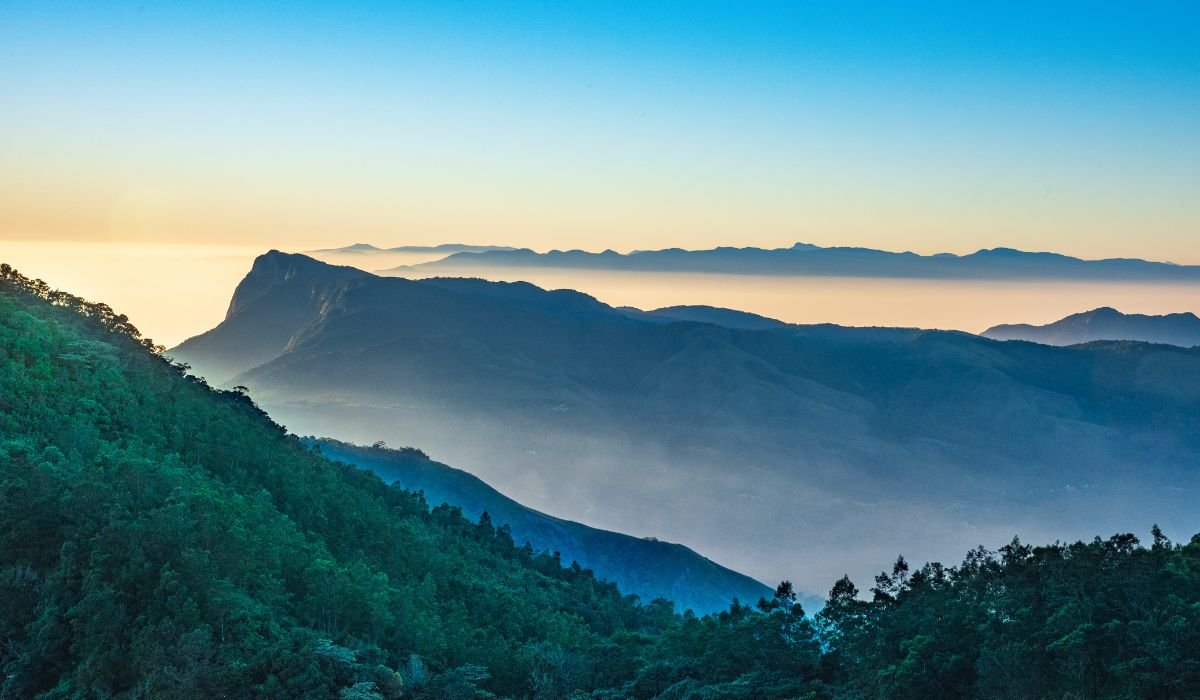 Munnar Alleppey Kerala Tour - Image 3