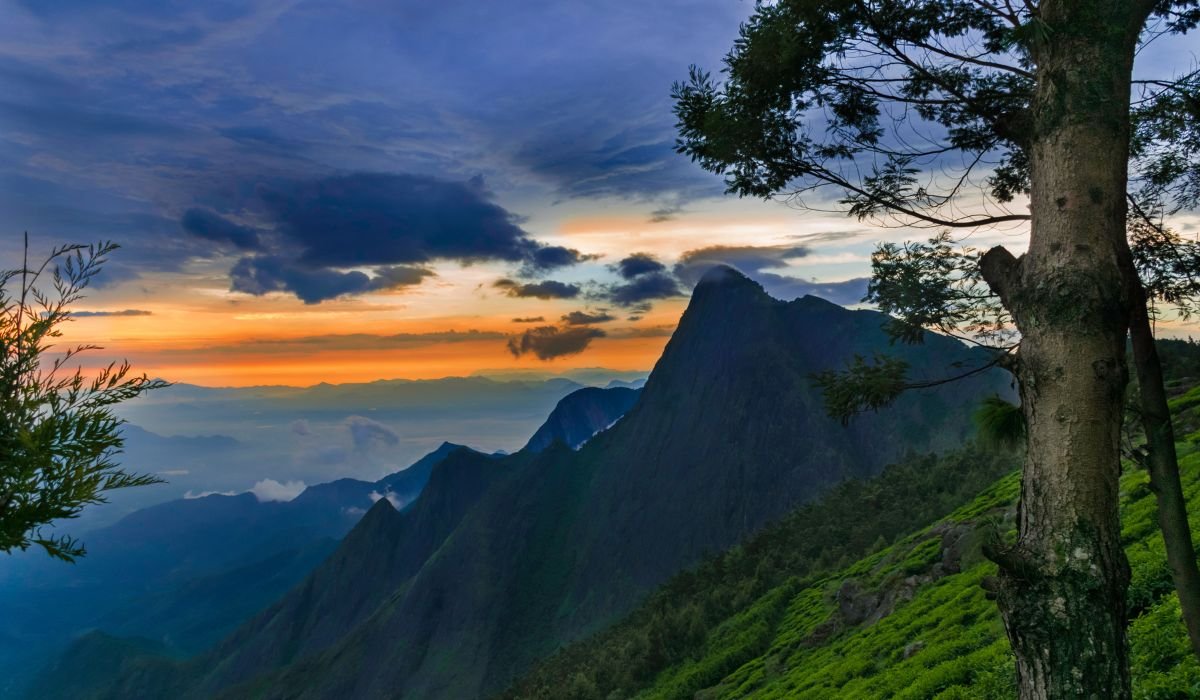 Munnar Alleppey Kerala Tour - Image 7