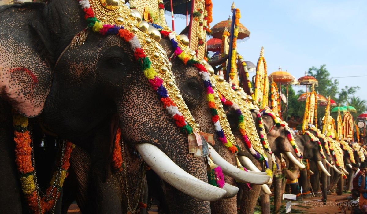 Munnar Thekkady Alleppey Tour - Image 4