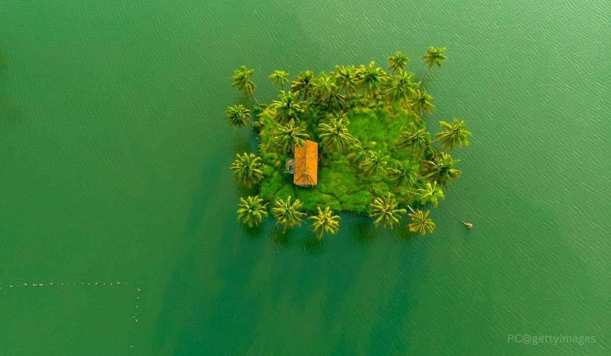 Munnar Thekkady Alleppey Tour - Image 2