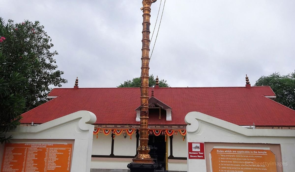 Munnar Thekkady Alleppey Tour - Image 5