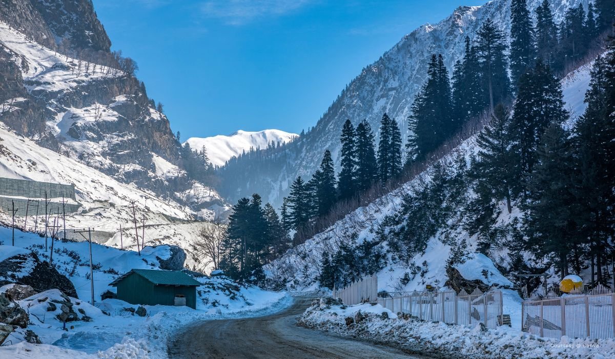 Srinagar Sonamarg Pahalgam Gulmarg Tour
