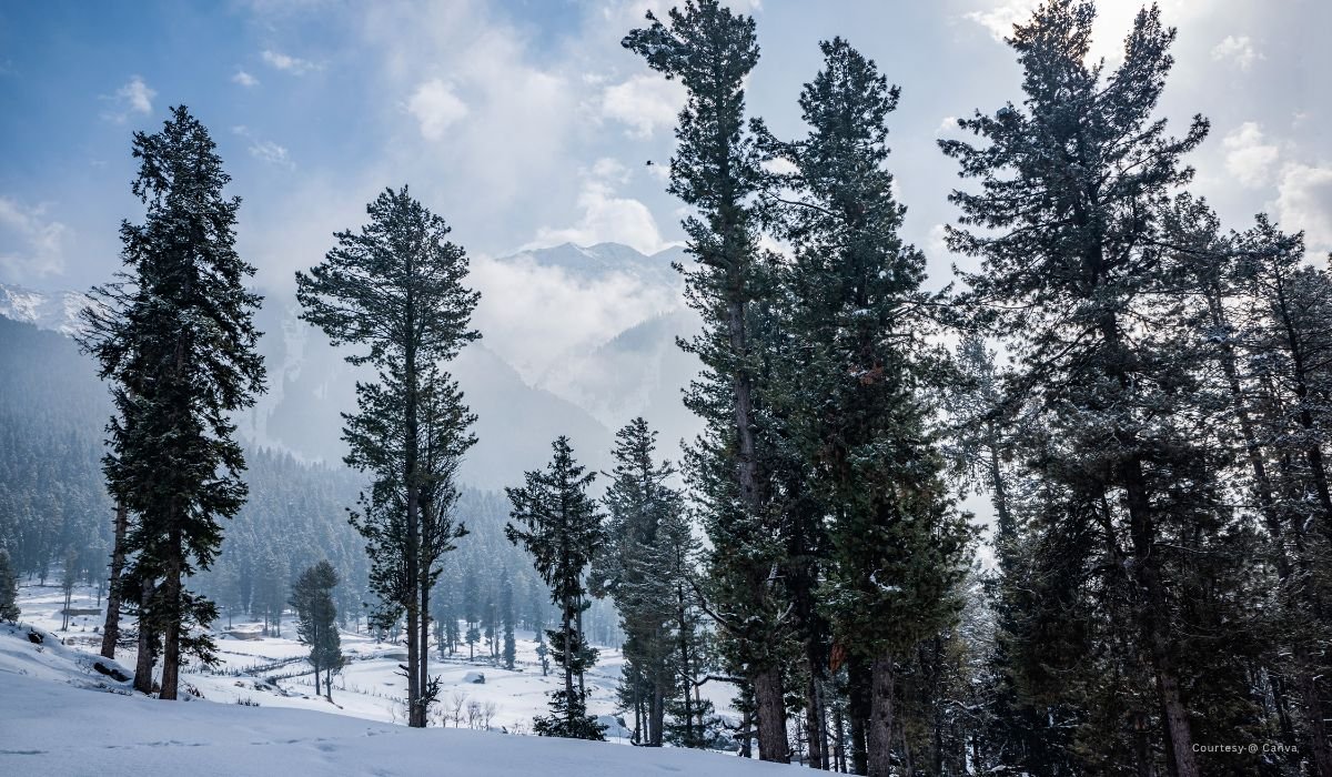 Srinagar Sonamarg Pahalgam Gulmarg Tour - Image 5